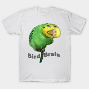 Bird Brain T-Shirt